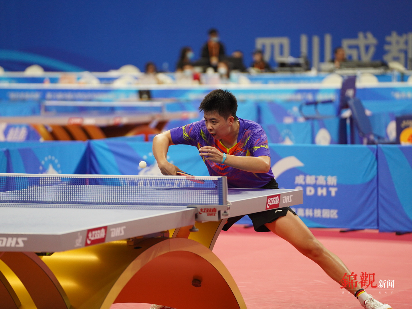 成都体育学院金牌,成都体育学院出了哪些冠军