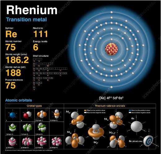 美貌与智慧并存的女教授,美貌和智慧并存的女神