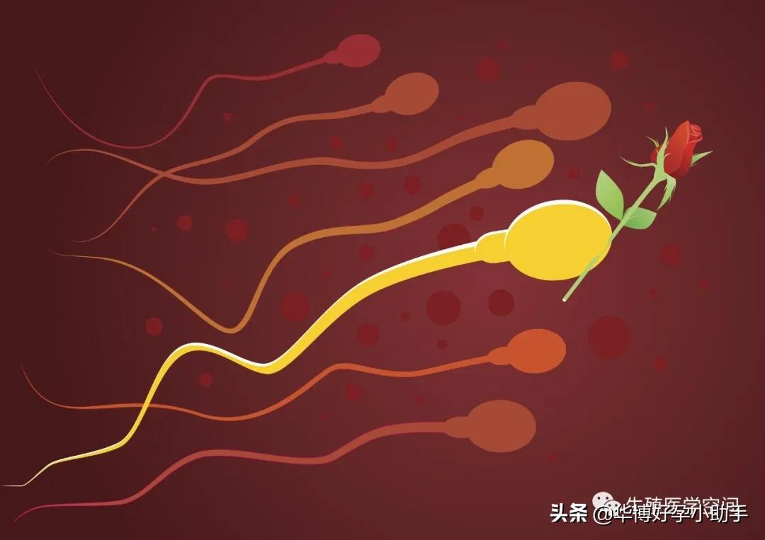 夫妻*生活性**过频反而容易不孕？是真的吗