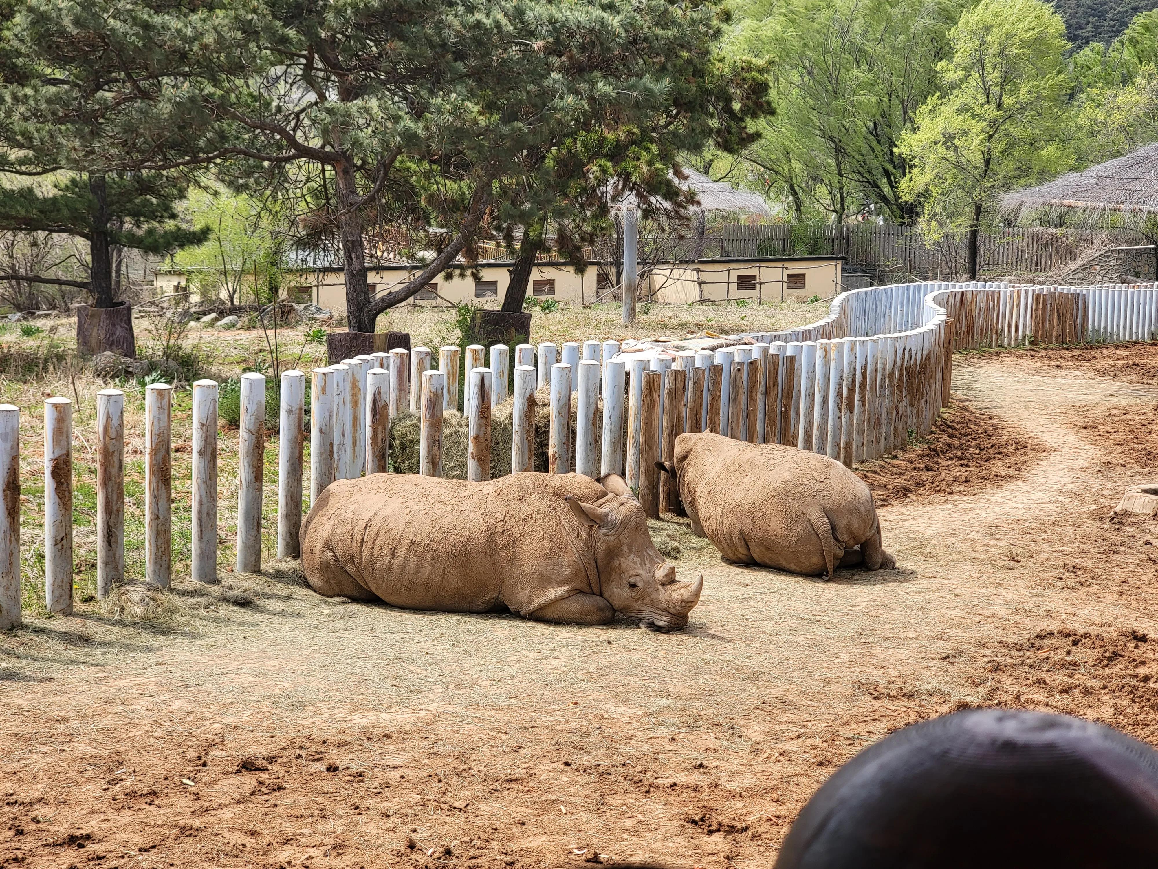 快乐动物园探险,愉快的旅行沈阳森林动物园一日游