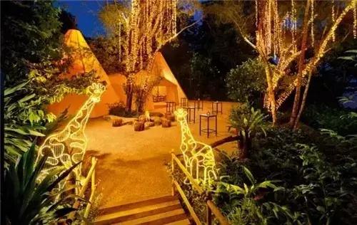 新加坡动物园免费攻略,新加坡夜间动物园游玩攻略