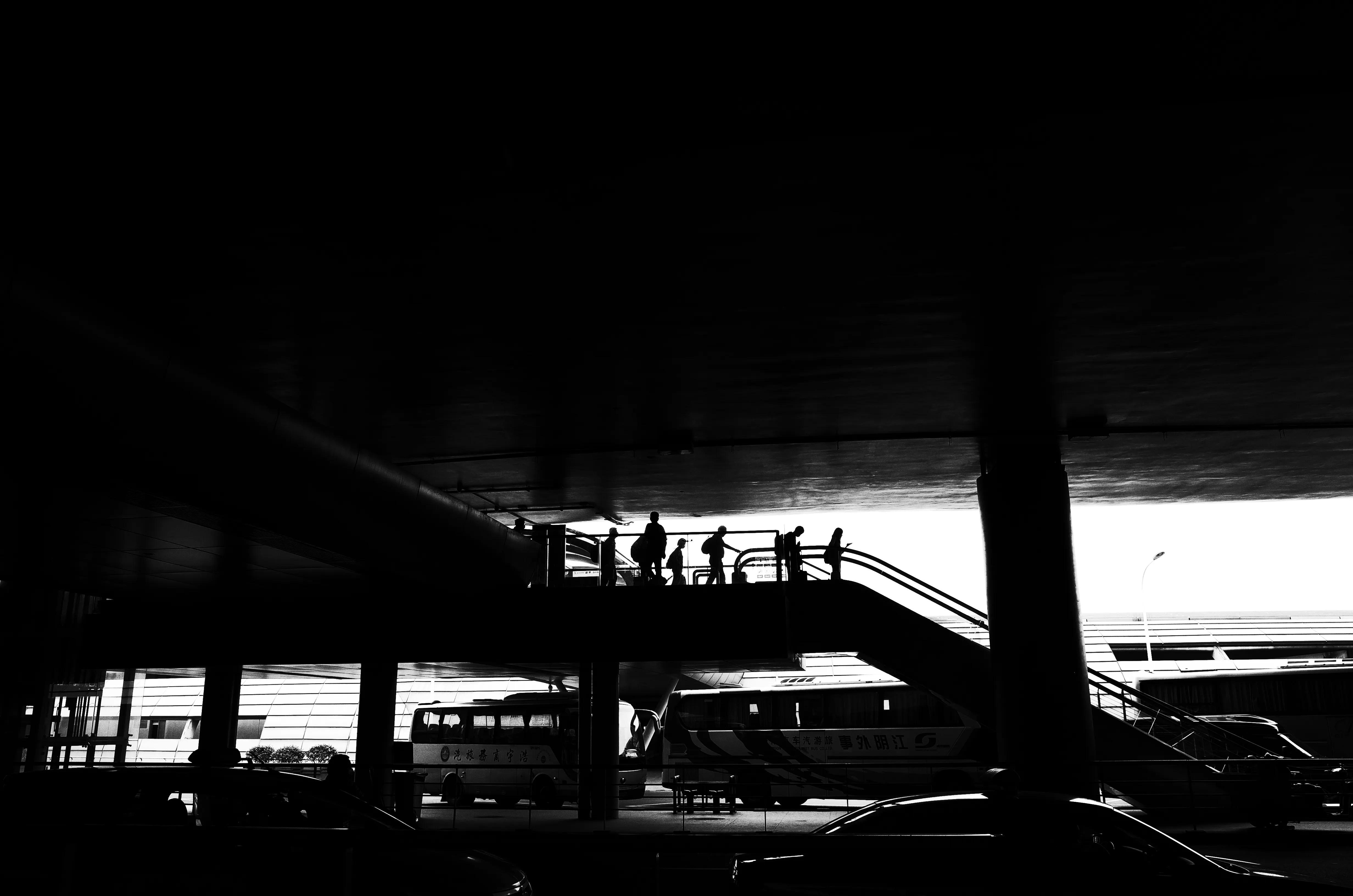 相机里的爸爸,相机里爸爸和弟弟的同框