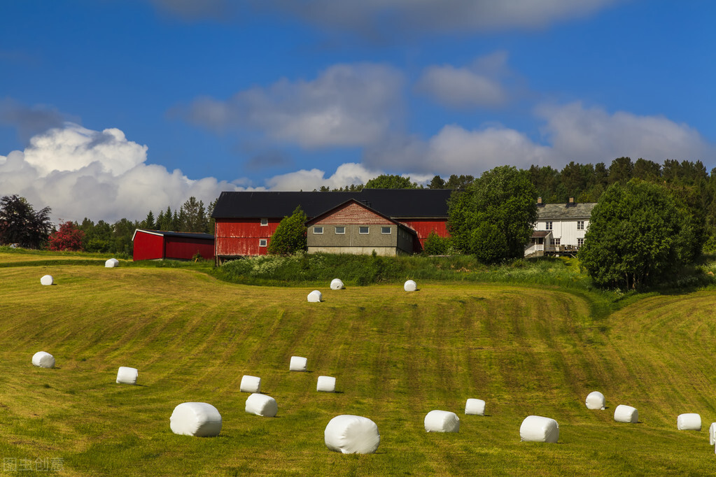 挪威钞票上比鲁迅小一岁的美女作家,因写了一篇小说获得诺贝尔奖