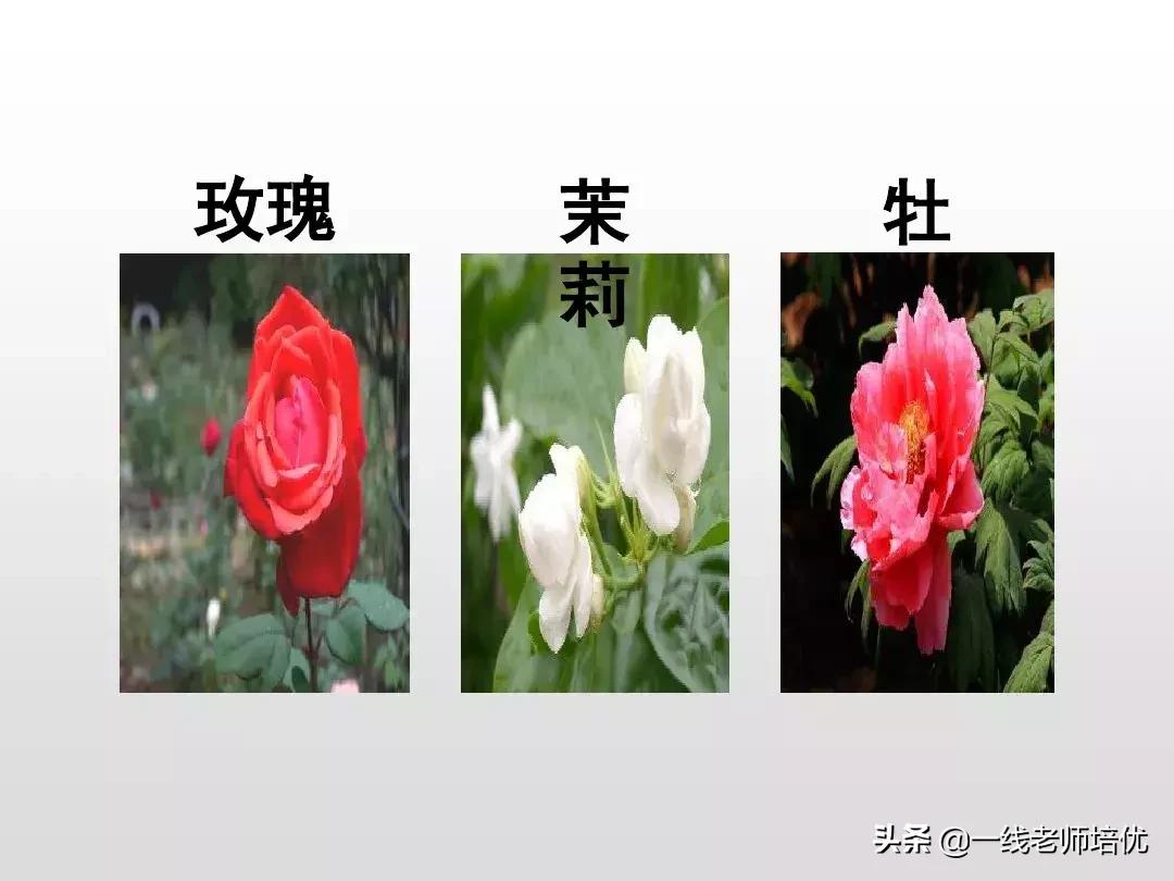 部编人教版四年级下册语文园地四,部编版四年级上册语文园地四复习