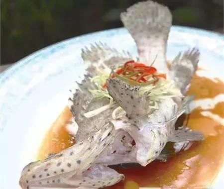 fot海水观赏鱼,fot鱼品种