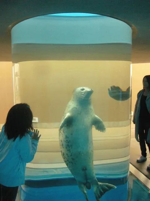 这届年轻人有多清醒,这届年轻人怎么爱上吸熊猫的