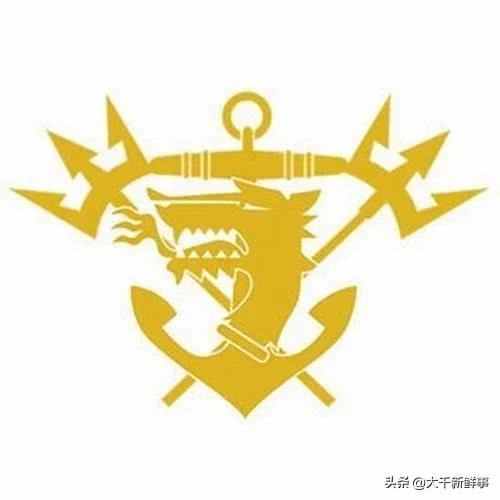 世界十大经典特种作战,世界十大特种部队战绩极为经典