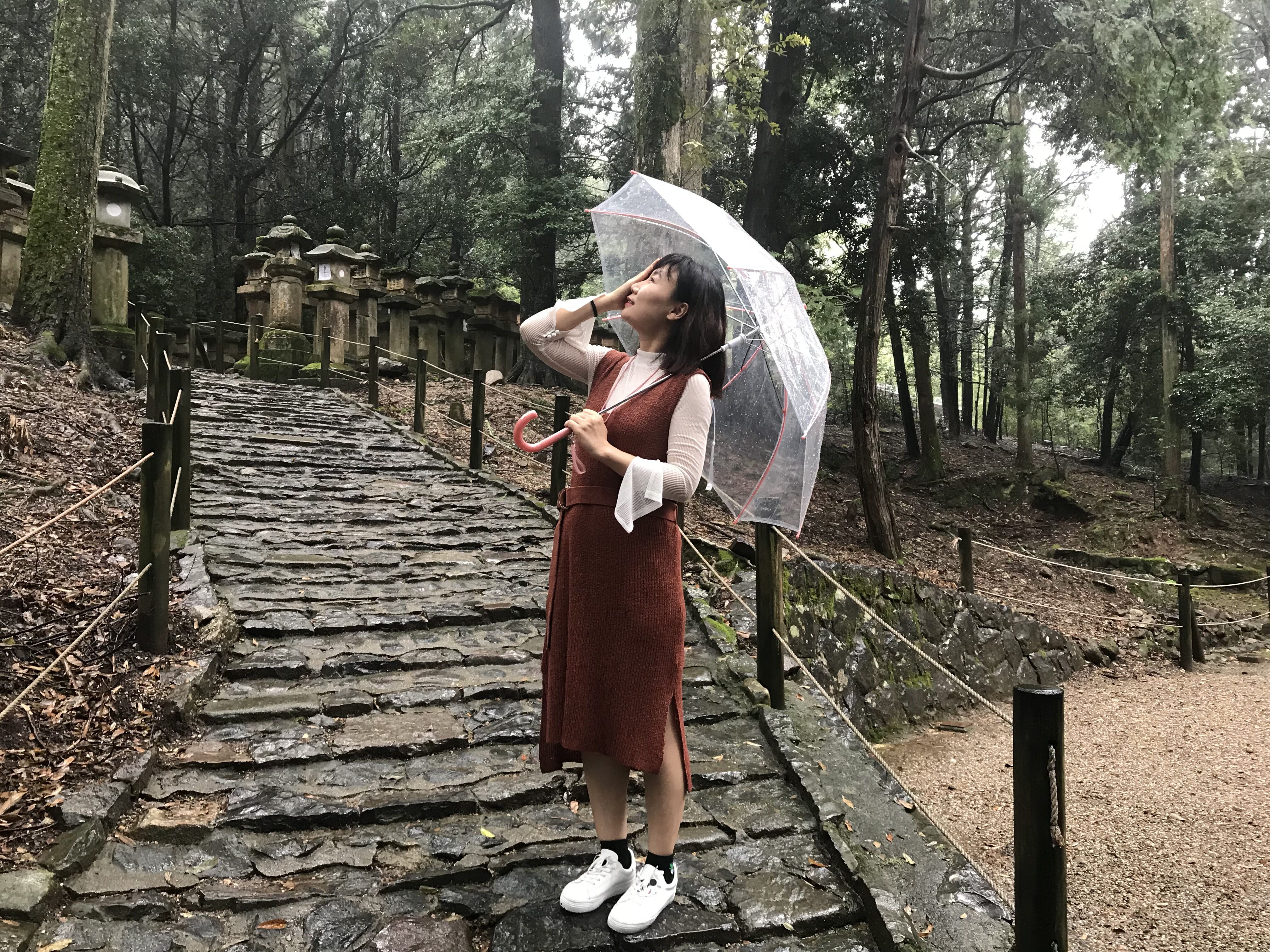 日本旅游攻略本州双古都7天,日本本州六日游攻略