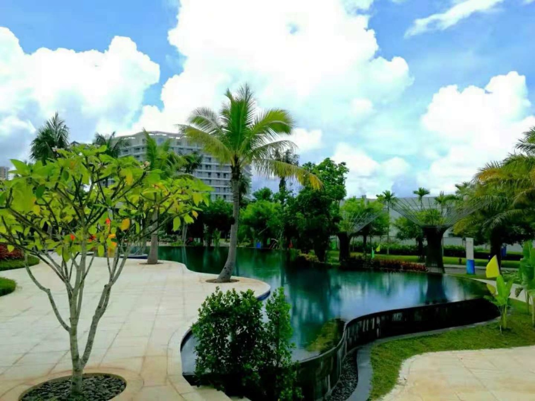 海南三亚清水湾单价：洋房均价1.82万/㎡别墅410-490万/套