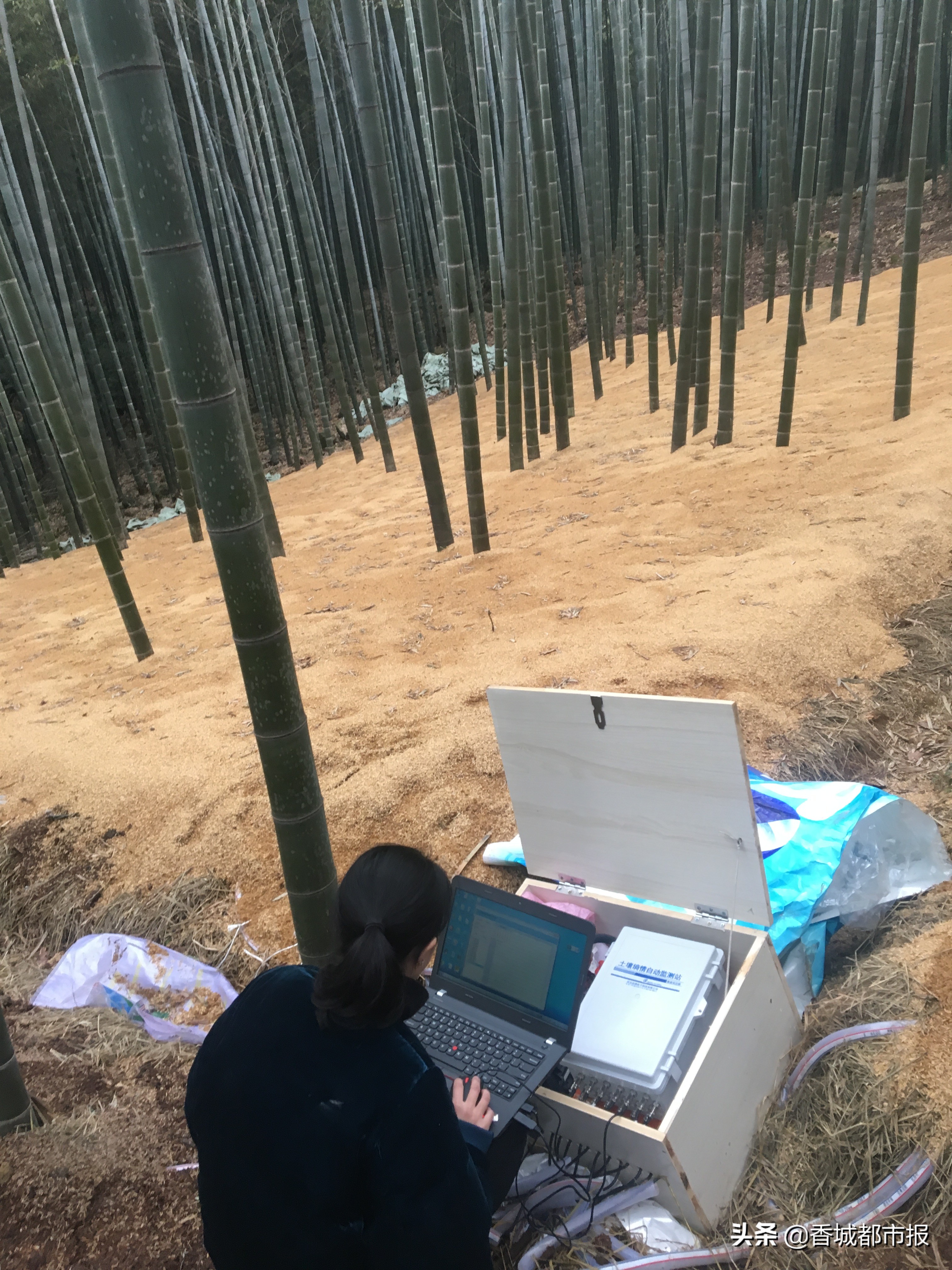 当好店小二,当好店小二服务企业