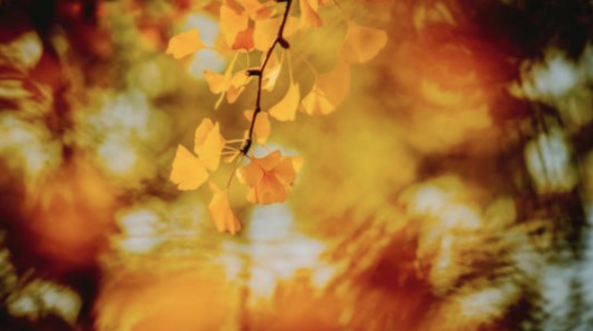 细节告诉你谁最靠谱,8个细节告诉你身边谁靠谱