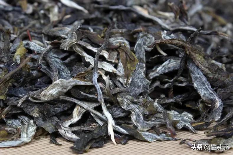 在云南的古树茶有哪些种类,云南最出名的十大古树茶