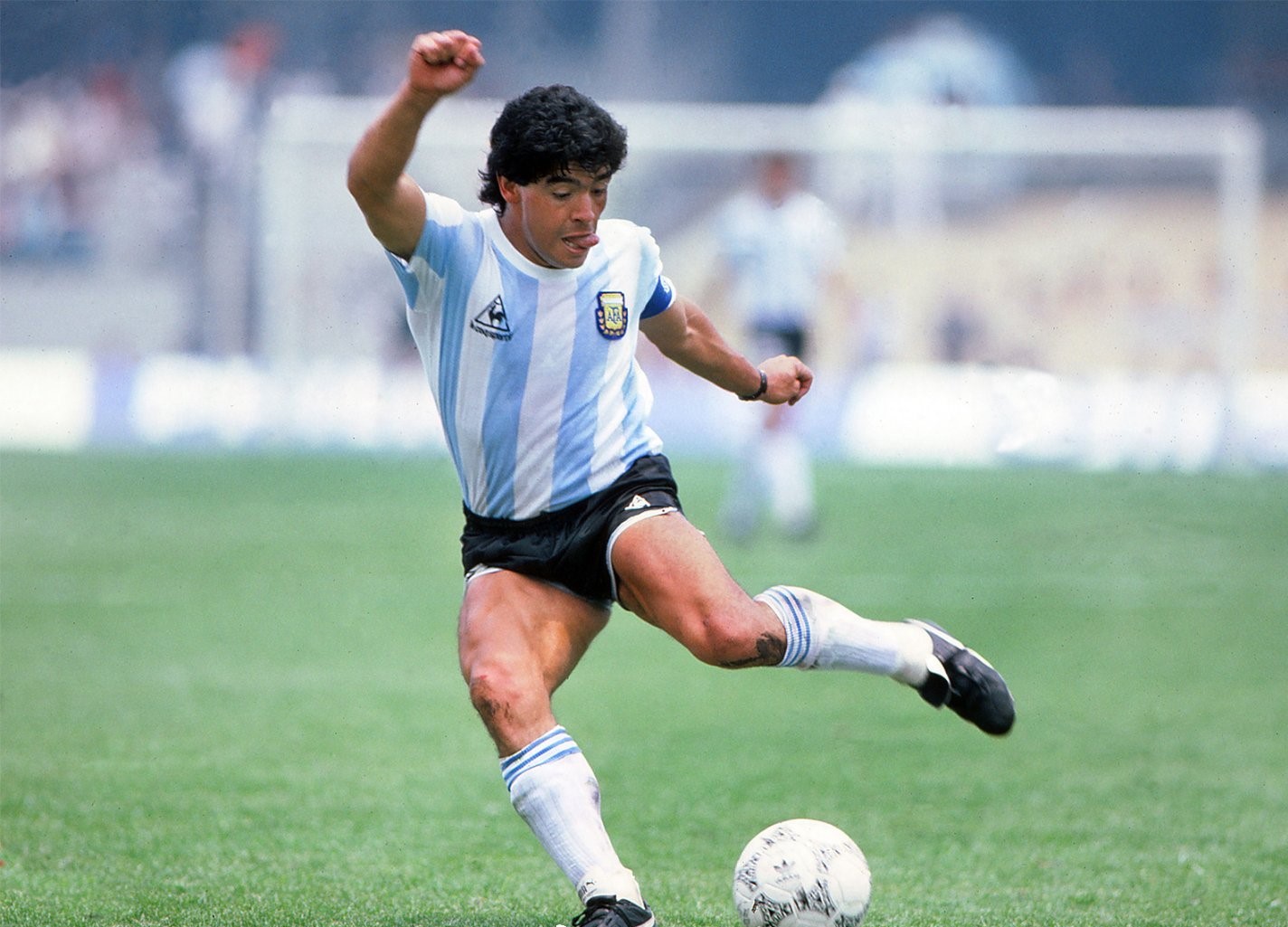 阿根廷夺冠有感,阿根廷美洲杯夺冠之路