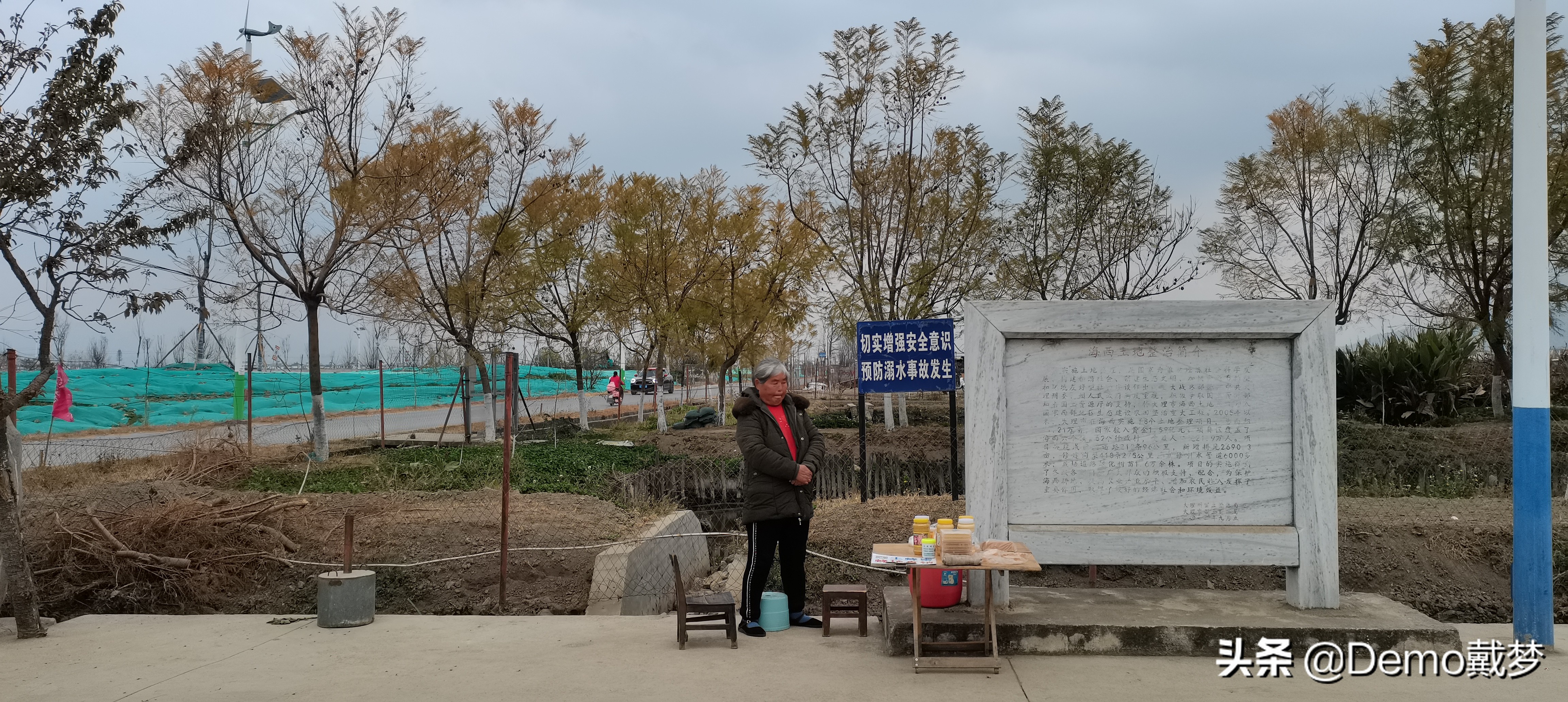 一群流浪的养蜂人,流浪的养蜂人