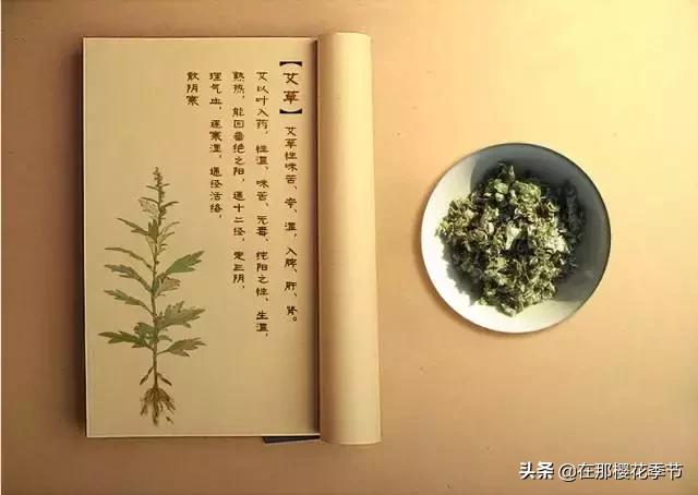 艾草防风紫苏煮水给婴儿洗澡,艾草生姜煮水给宝宝洗澡的好处