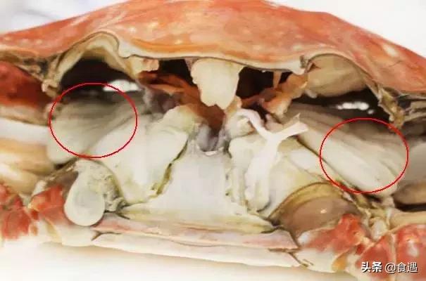 作为一个合格的吃货，首先你要懂得这些……