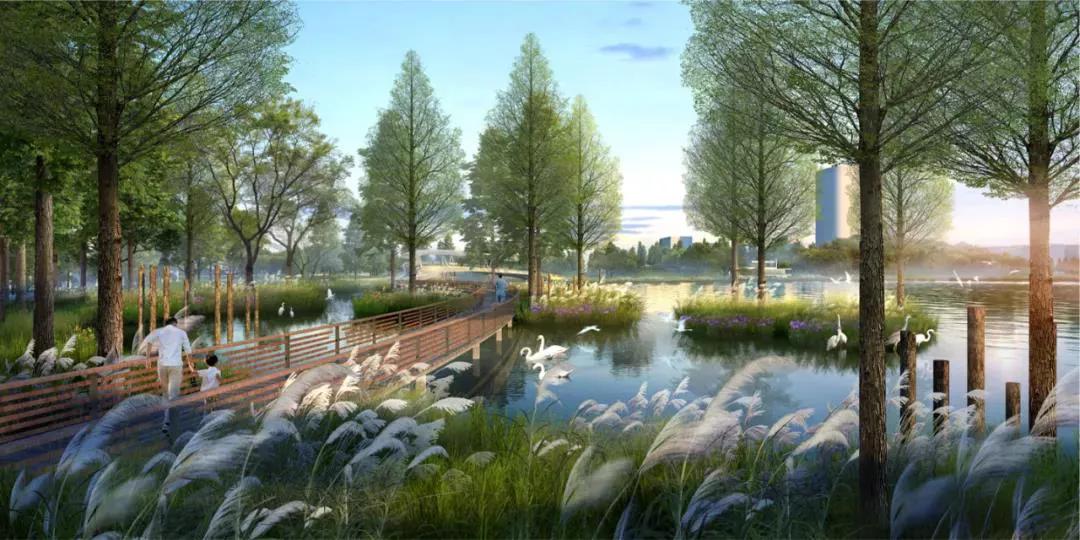钱塘区金沙湖最新规划,钱塘金沙湖新区