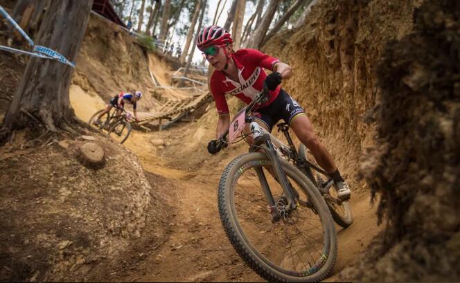 入门级的山地车哪款好,十款性价比高的入门级山地车