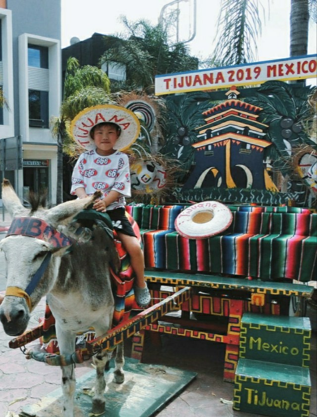 墨西哥蒂华纳现在时间,墨西哥蒂华纳市简介