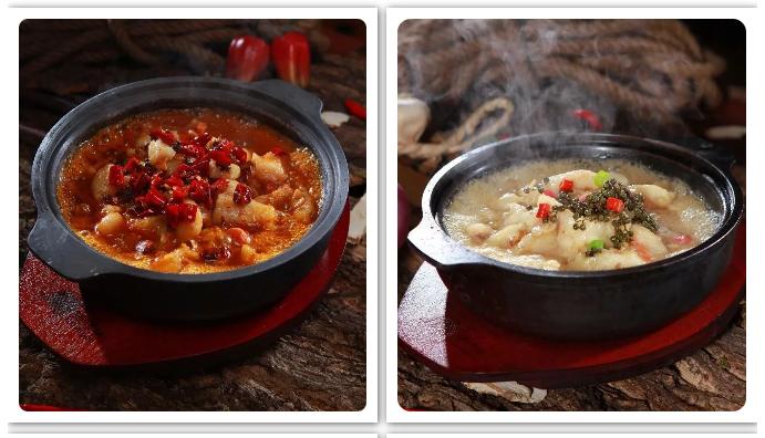 啵啵鱼是一种鱼吗,啵啵鱼是巴沙鱼吗