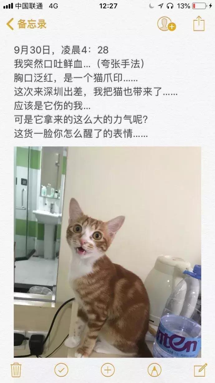 被猫踩了一脚出了一点点血,猫咪被人踩了一脚口吐白沫