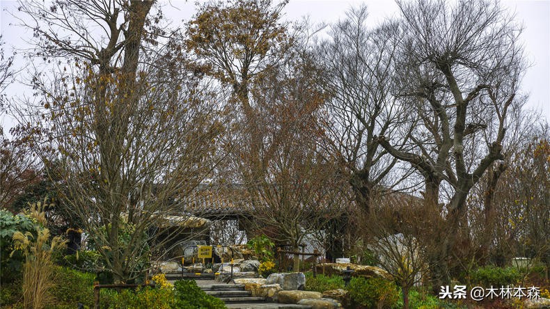 汉中汉人故乡,汉中汉人老家哪里