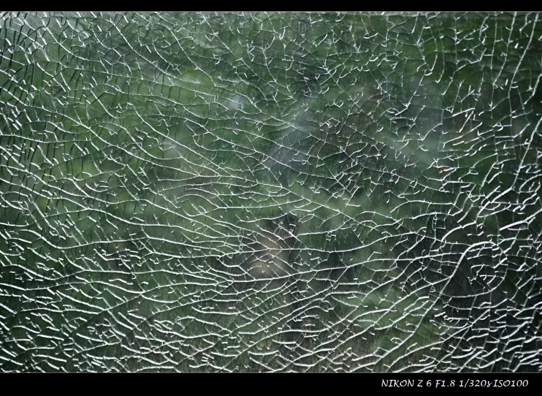 尼康35mmf1.4z卡口镜头质量如何,尼康z50配35mm1.8