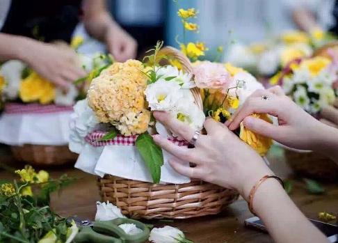 如何在网上买花苗,为什么在网上买花苗那么便宜