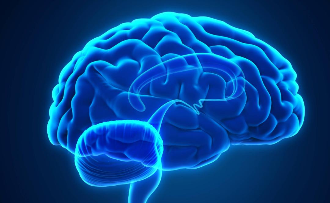 各人种之间为何不存在生殖隔离？黑种人、白种人、黄种人发展史