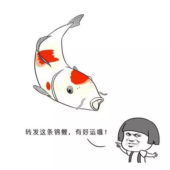 2019年热词英文版,三农热词2019年