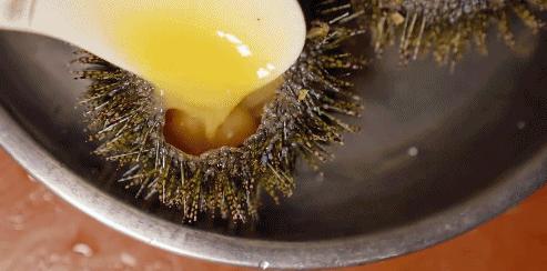 被央视表扬的b站up主,b站up主真实故事