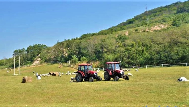 大连铭湖牧场十一还值得去吗,大连铭湖牧场多大面积