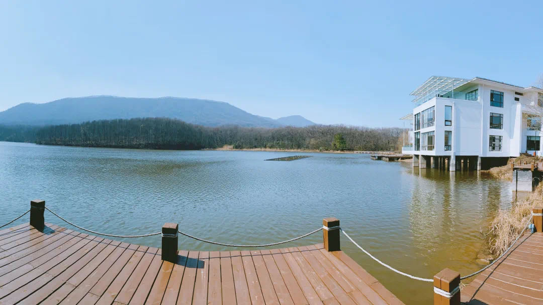 南京紫金山庄推荐住哪栋楼,南京紫金山庄世外桃源