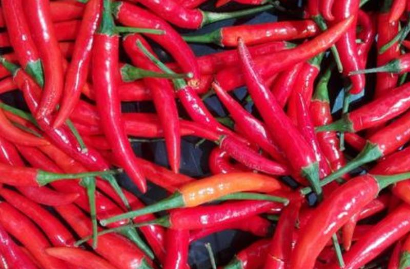 福建40批次食品不合格,沃尔玛不合格食品被曝光