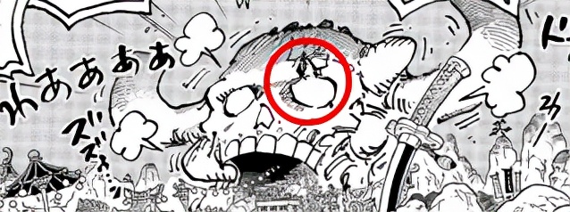 海贼王1025话情报全图,海贼王1045话全图解析