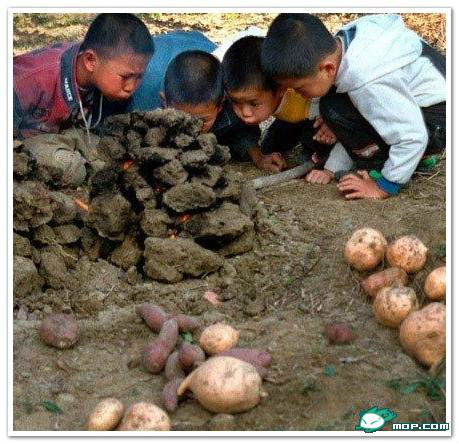 广西80后农村童年经典回忆,80后的童年回忆广西的农村生活
