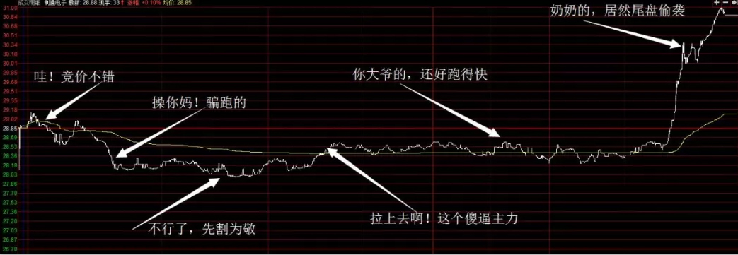 牛市是散户的绞肉机,散户绞肉机什么时候出现