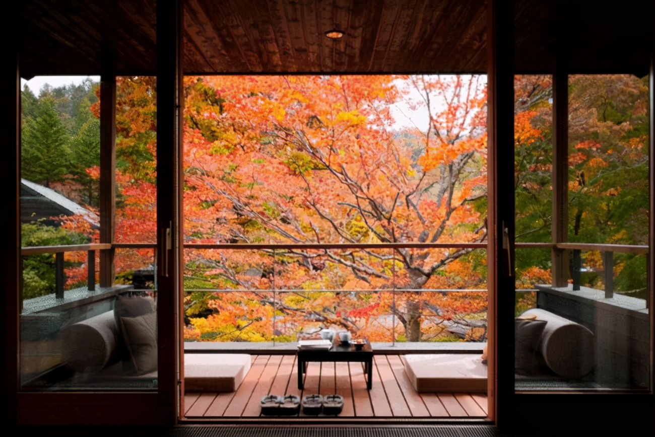 全球十大顶级酒店品牌排行榜,全球公认的十大顶级酒店品牌