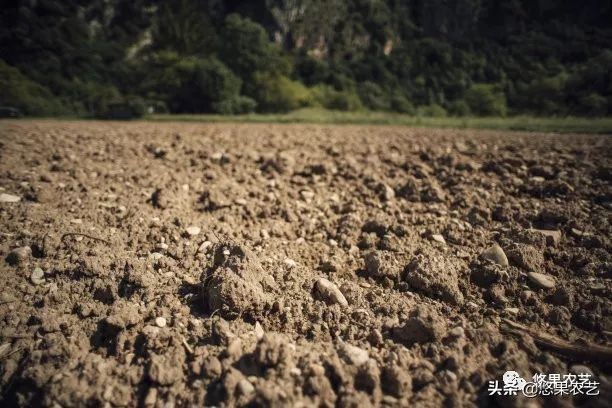 土壤ph值7.8碱性土壤如何改良调节,山地果园土壤怎么改良好