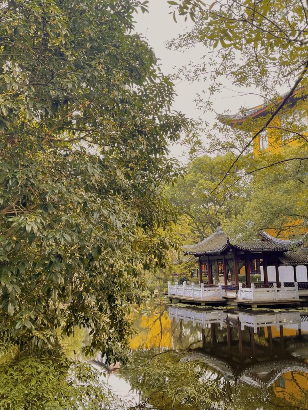 深秋回暖，安排！沪上各区的深秋美景，你准备好打卡了吗？