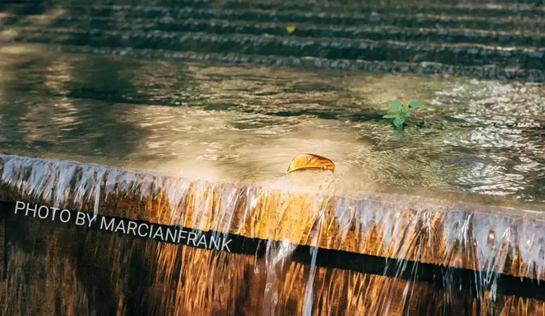 徐汇是啥,徐汇在哪里