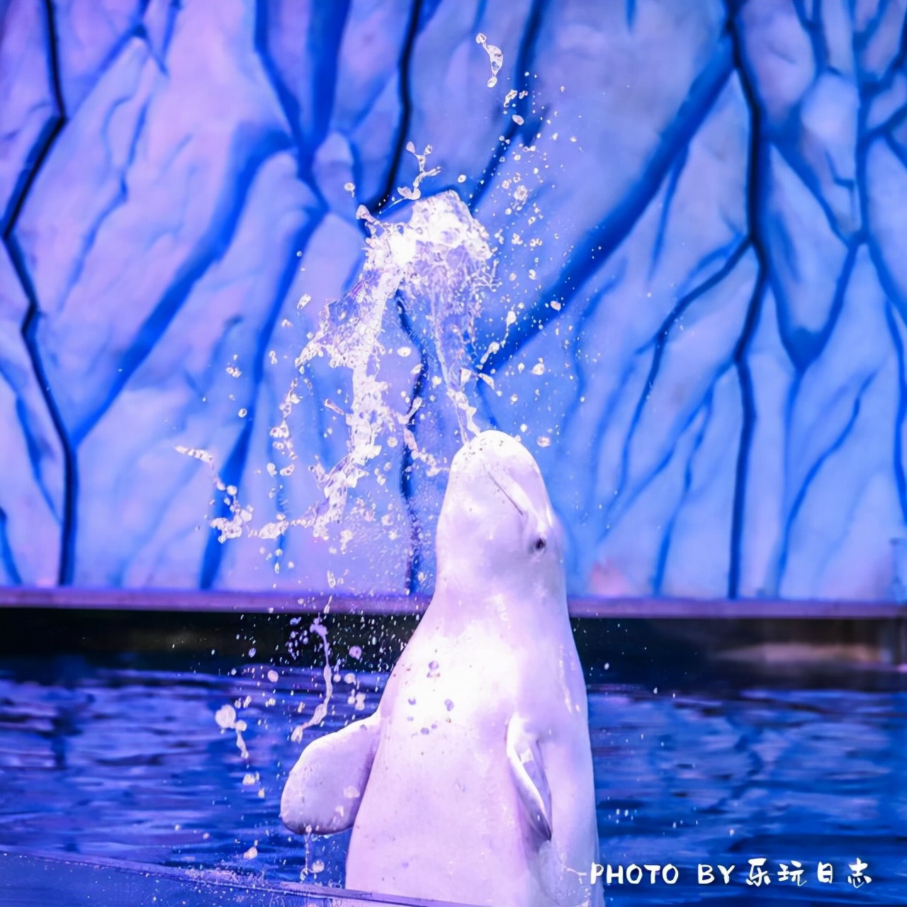 珠海亲子游必玩景点,珠海一日游适合带孩子玩的景点