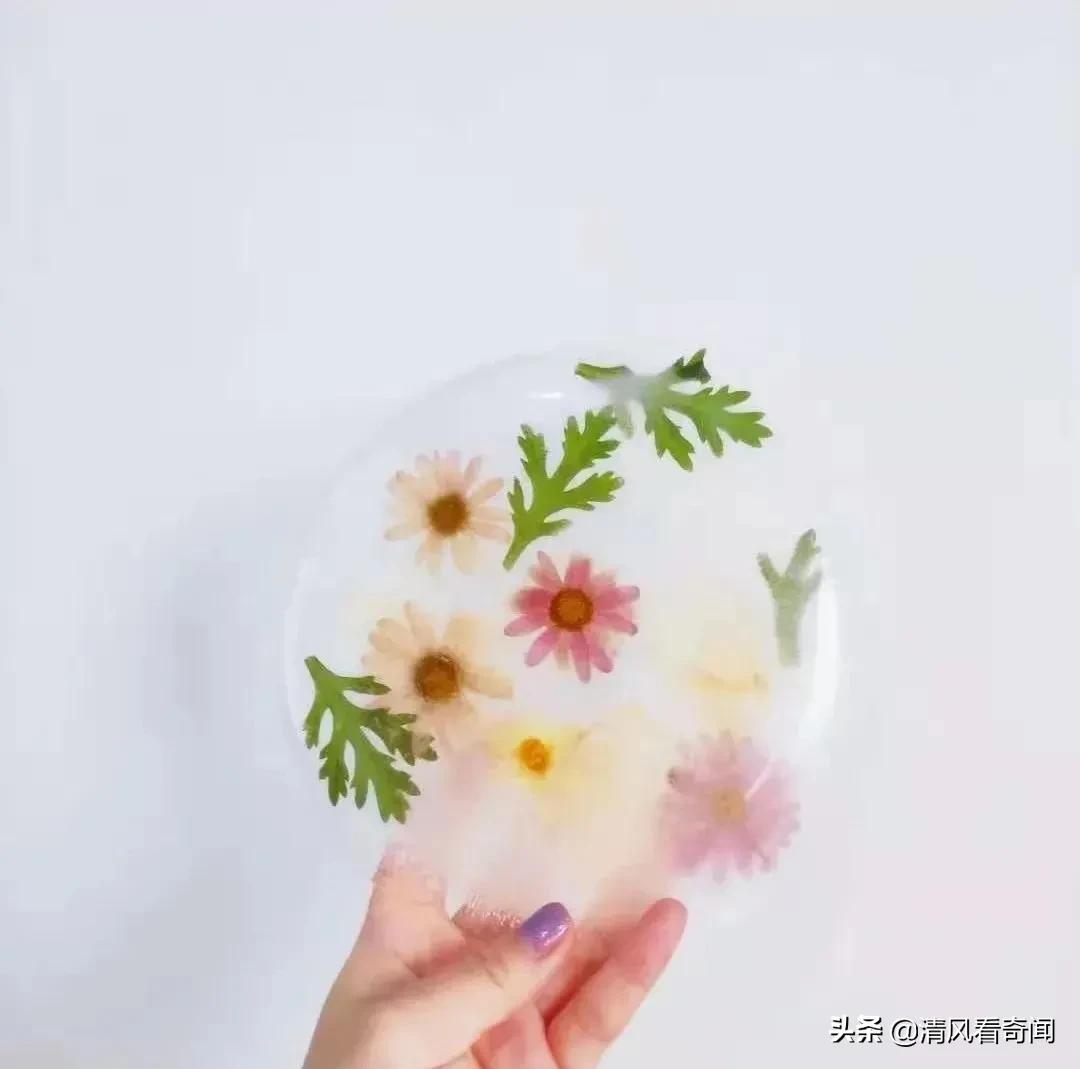 冻冰花美篇,冻冰花的美篇