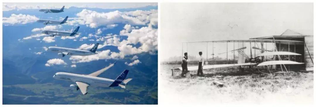 【酸甜科技史】大自然中的老师——仿生学的前世今生