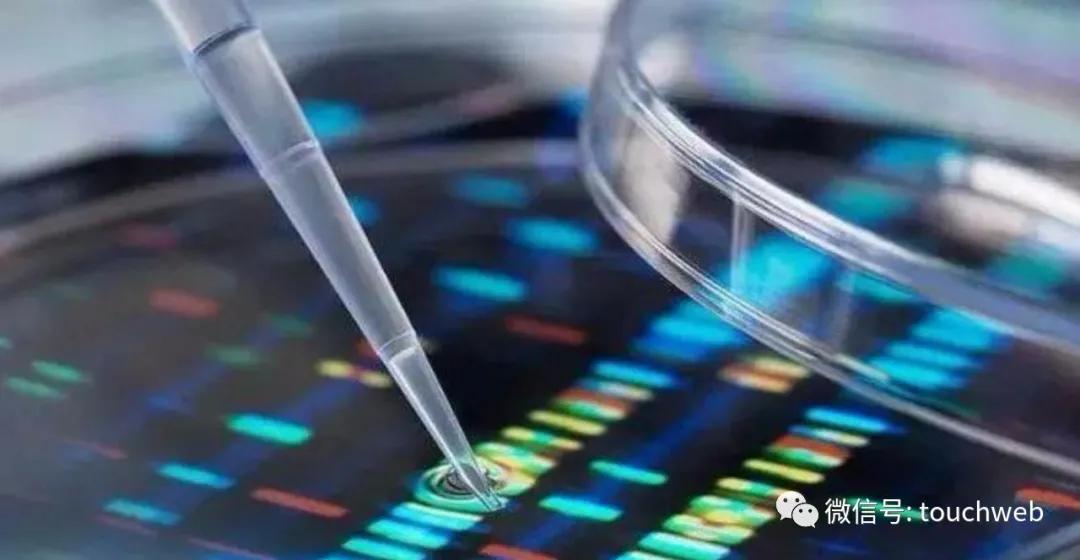 珈创生物技术股份有限公司,珈创生物冲刺创业板