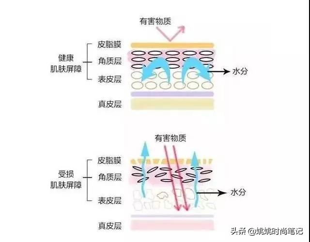 如何维持皮肤的水油平衡,怎么样维持皮肤水油平衡