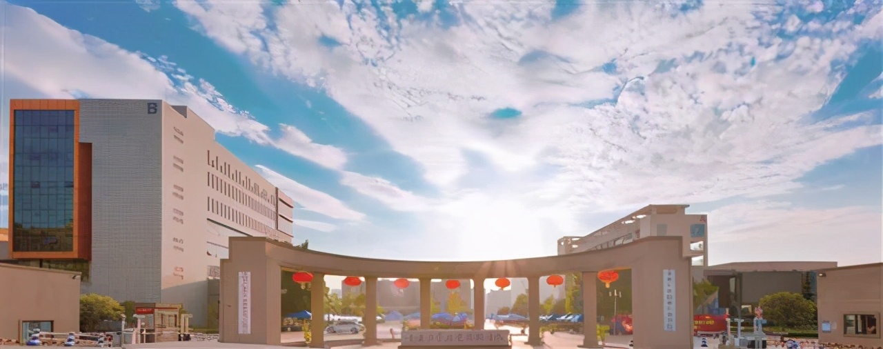 重庆高职电子技术类总分排名,重庆高职电子技术类学校有哪些