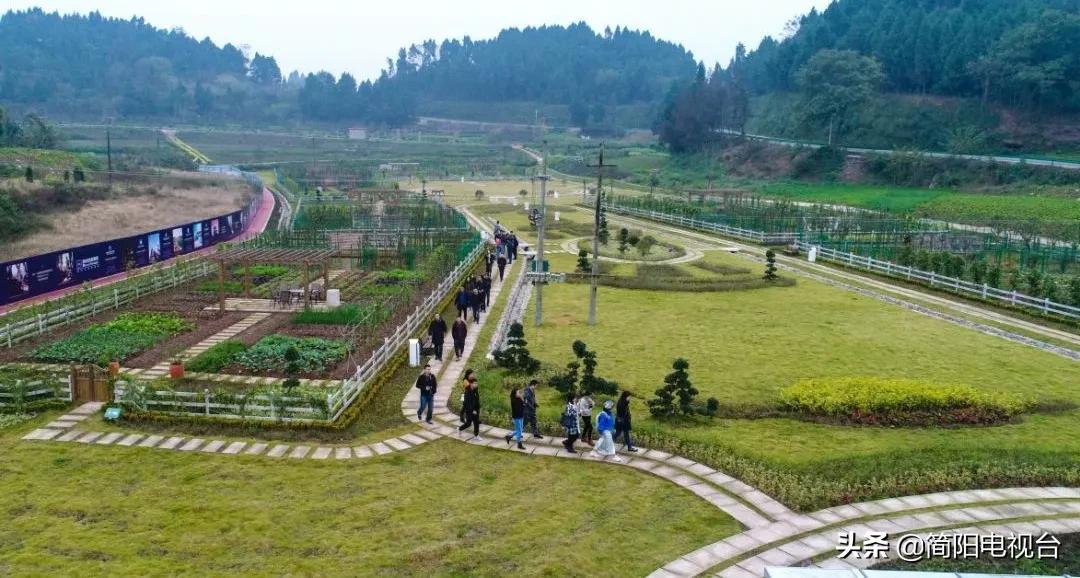 遇见天府雄州|陈新:一道美食映照的修为