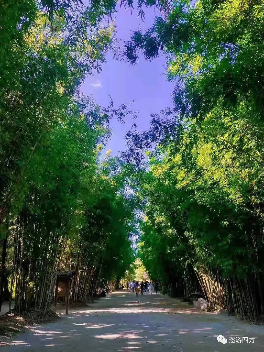 云南国庆行：最美的环海西路及海舌公园