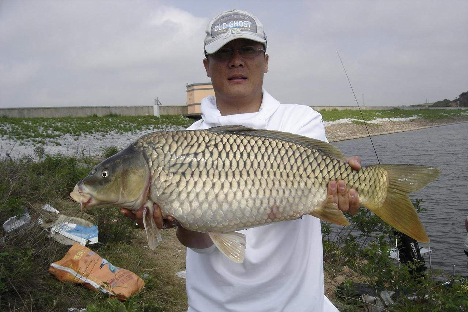 鲤鱼最爱吃什么饲养颗粒,鲤鱼最爱吃什么饵料